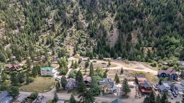 a view of outdoor space with yard and green space