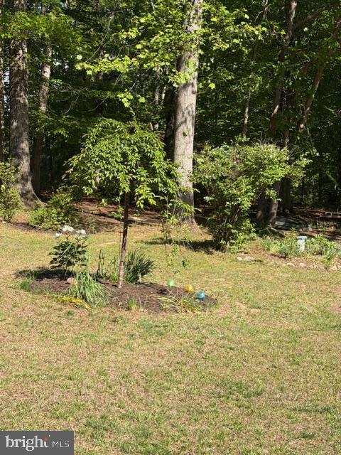 804 Buggy Lane Rochelle, VA 22738 - Photo 10 of 50 a view of swimming pool of water with green space