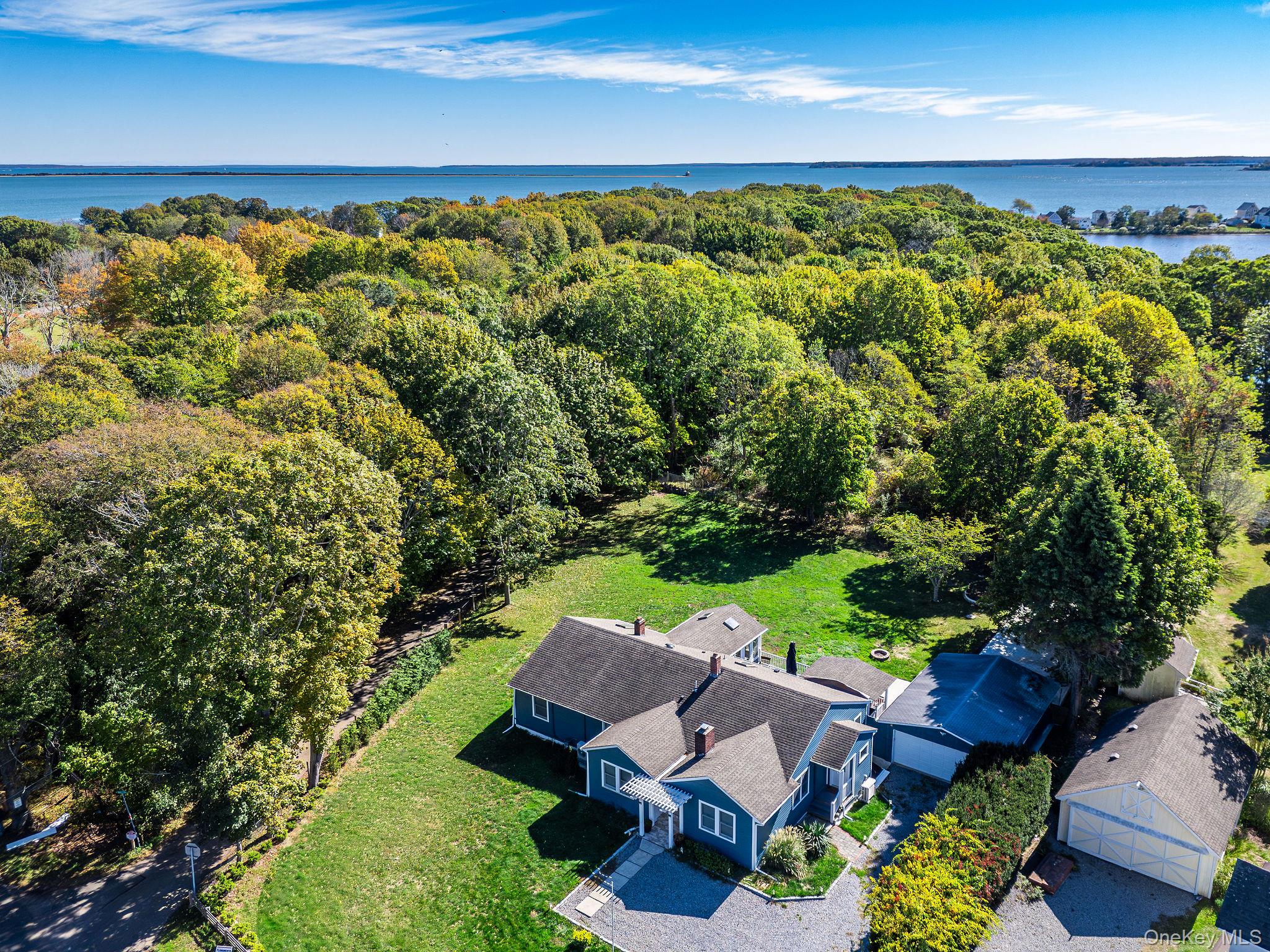 a view of a garden with an outdoor space