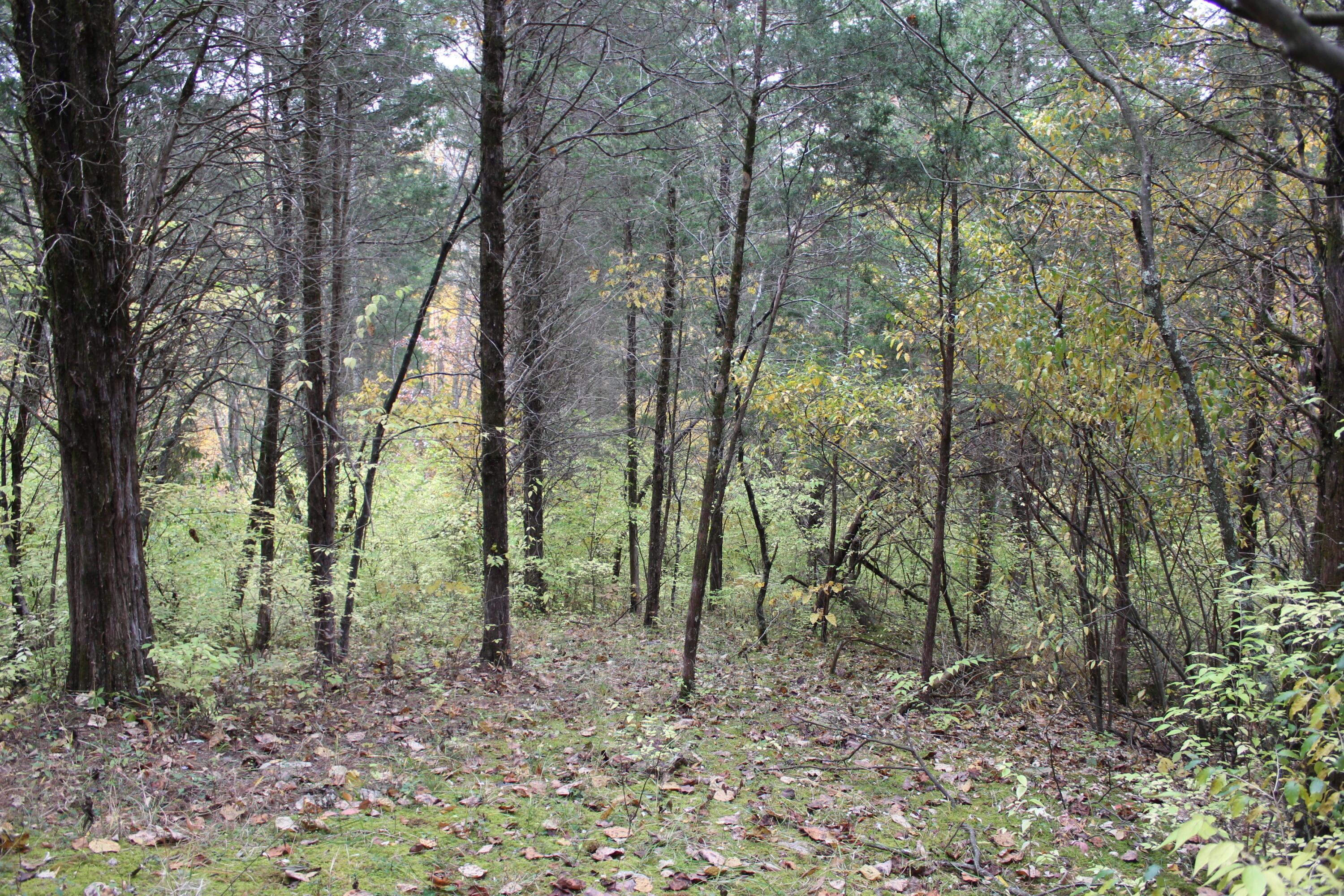 1316 Buttermilk Run Road Manchester, OH 45144 - Photo 92 of 107 93