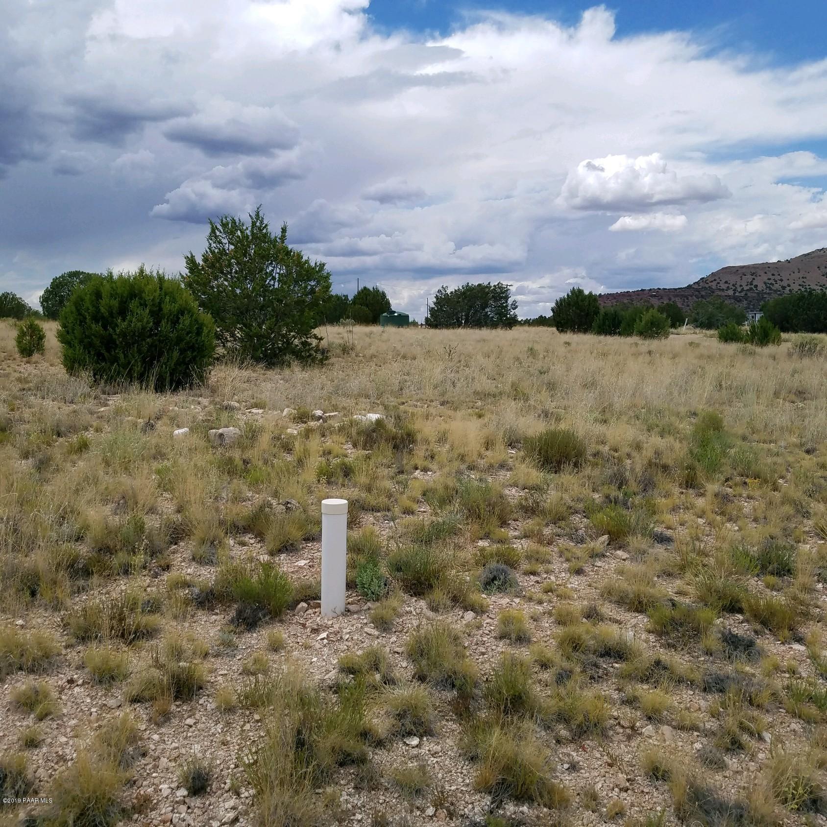 25670 Fort Rock Road Seligman, AZ 86337 - Photo 5 of 5 Weber 6