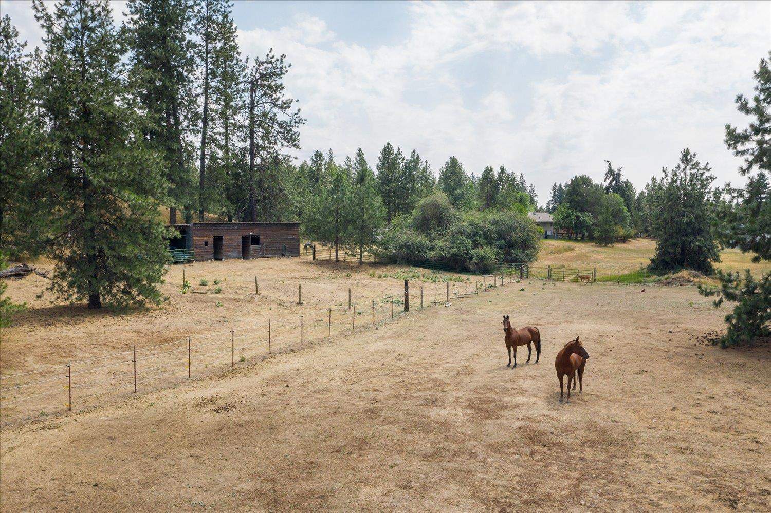 18609 North Hatch Road Colbert, WA 99005 - Photo 33 of 36