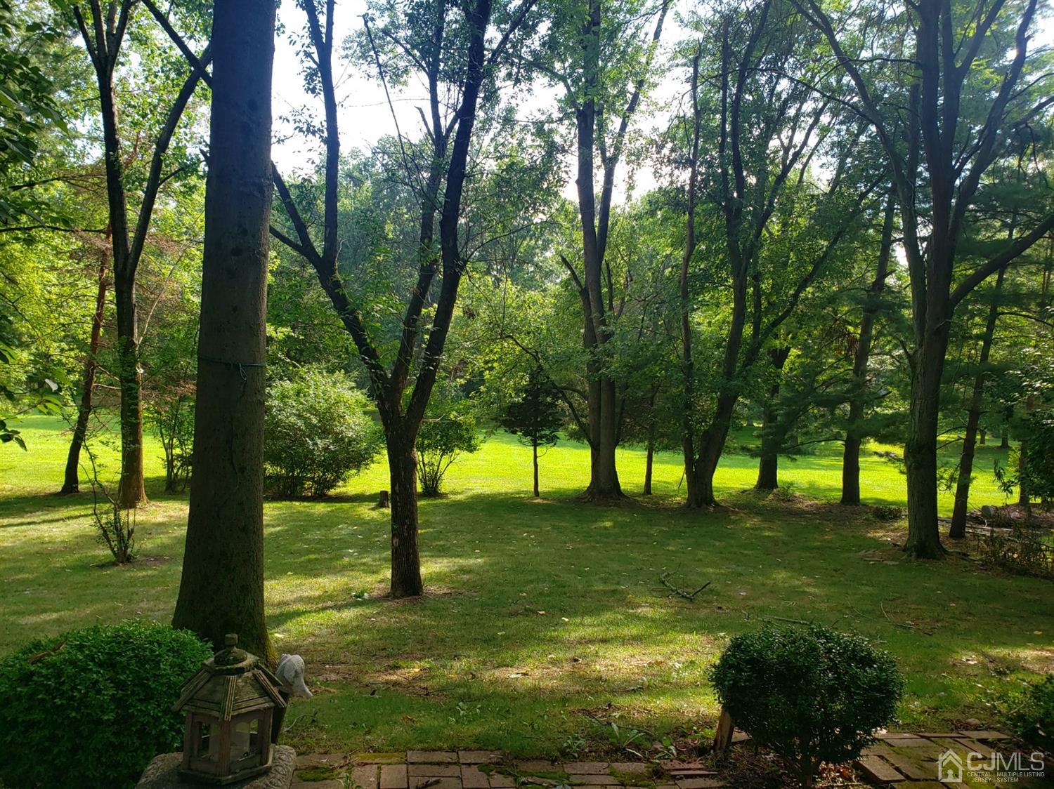 106 Fairfield Road Princeton, NJ 08540 - Photo 29 of 29 a view of an trees
