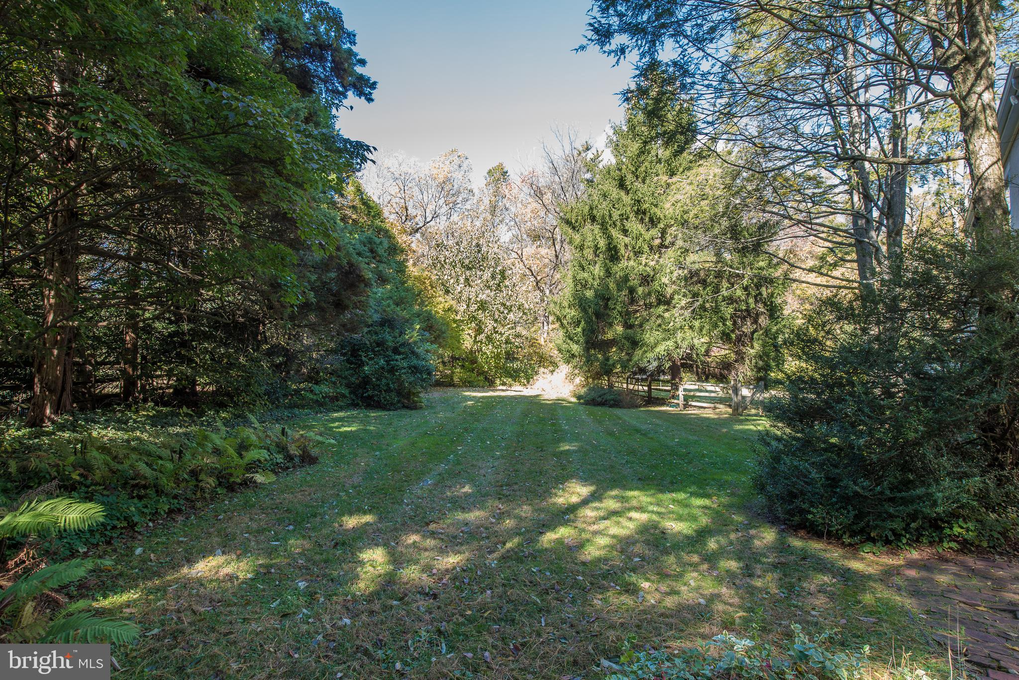 34 Wistar Road Villanova, PA 19085 - Photo 5 of 40 Rear setback and view