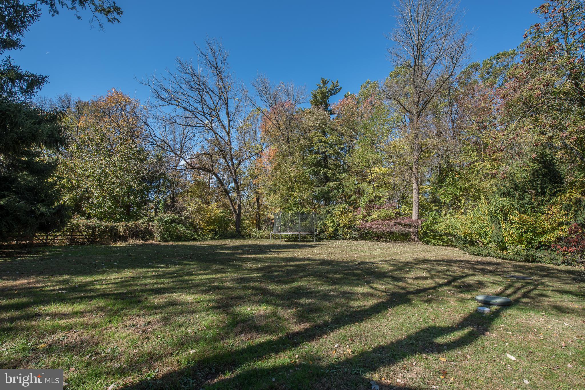 34 Wistar Road Villanova, PA 19085 - Photo 8 of 40 Rear yard