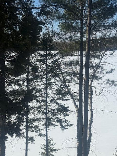 1021 South Shore Road Stockholm, ME 04783 - Photo 3 of 3 IMG_5825