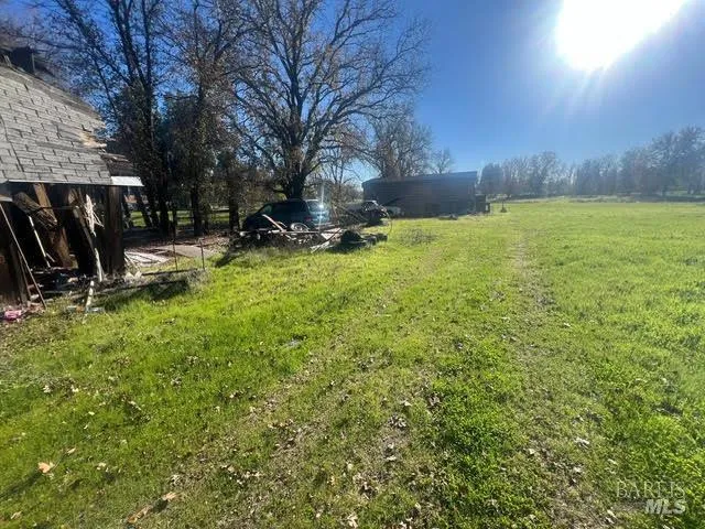 a view of a backyard with a large tree