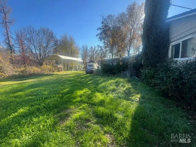 a view of a backyard with large trees