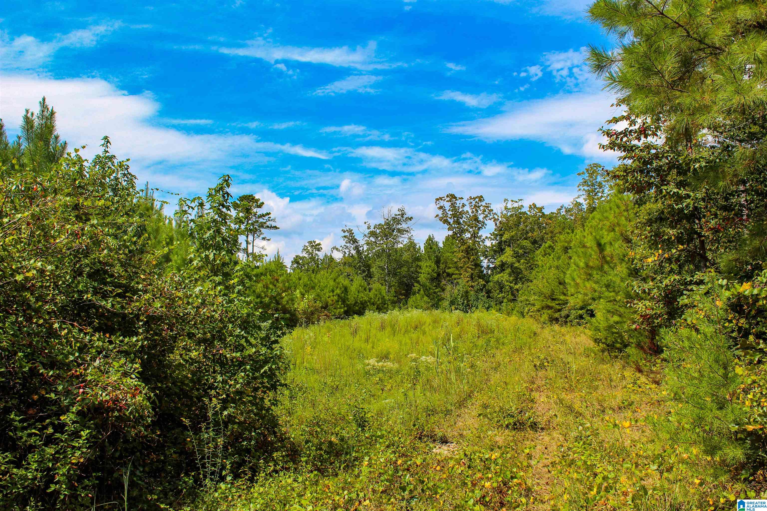 1 Highway 13, Unit 1 Berry, AL 35546 - Photo 43 of 52