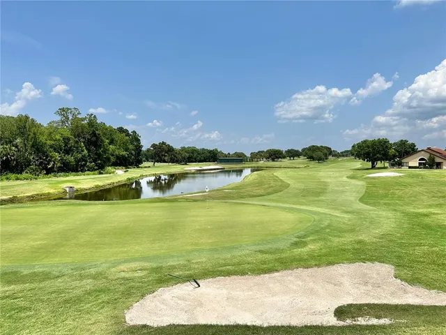 a view of a park with large trees