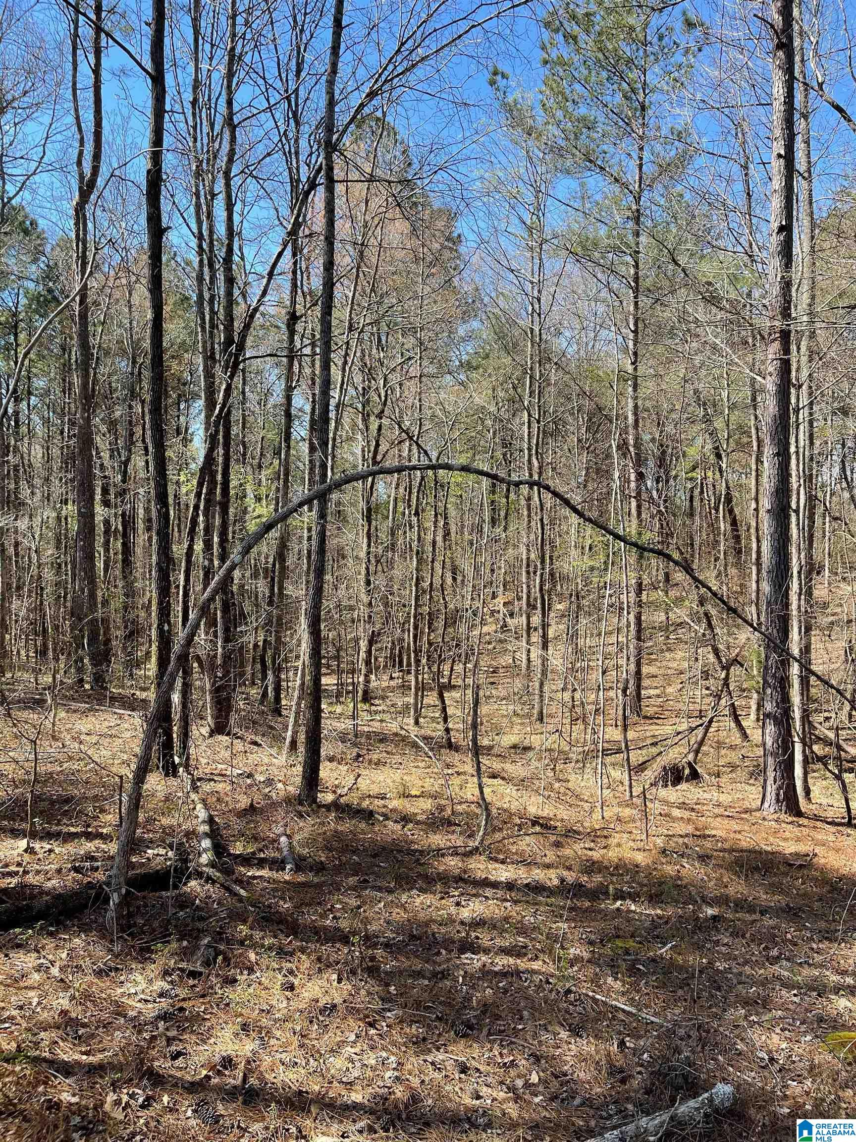 521 Sycamore Road Columbiana, AL 35051 - Photo 2 of 9