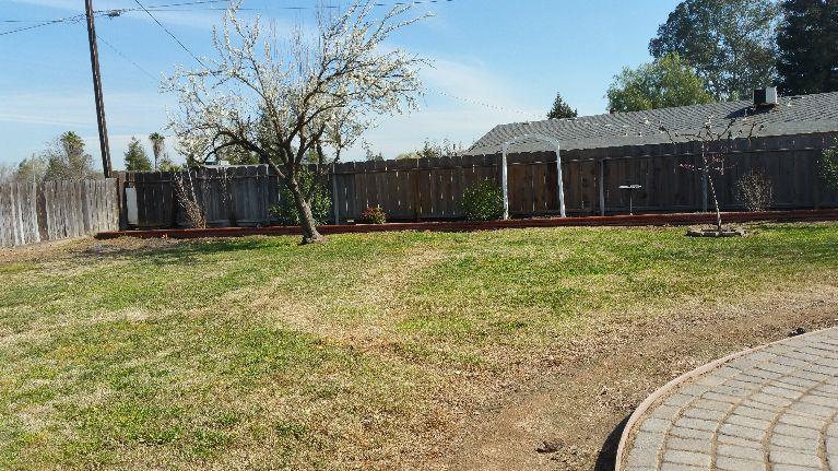 18381 El Paso Road Madera, CA 93638 - Photo 13 of 13 Gallery Image 13