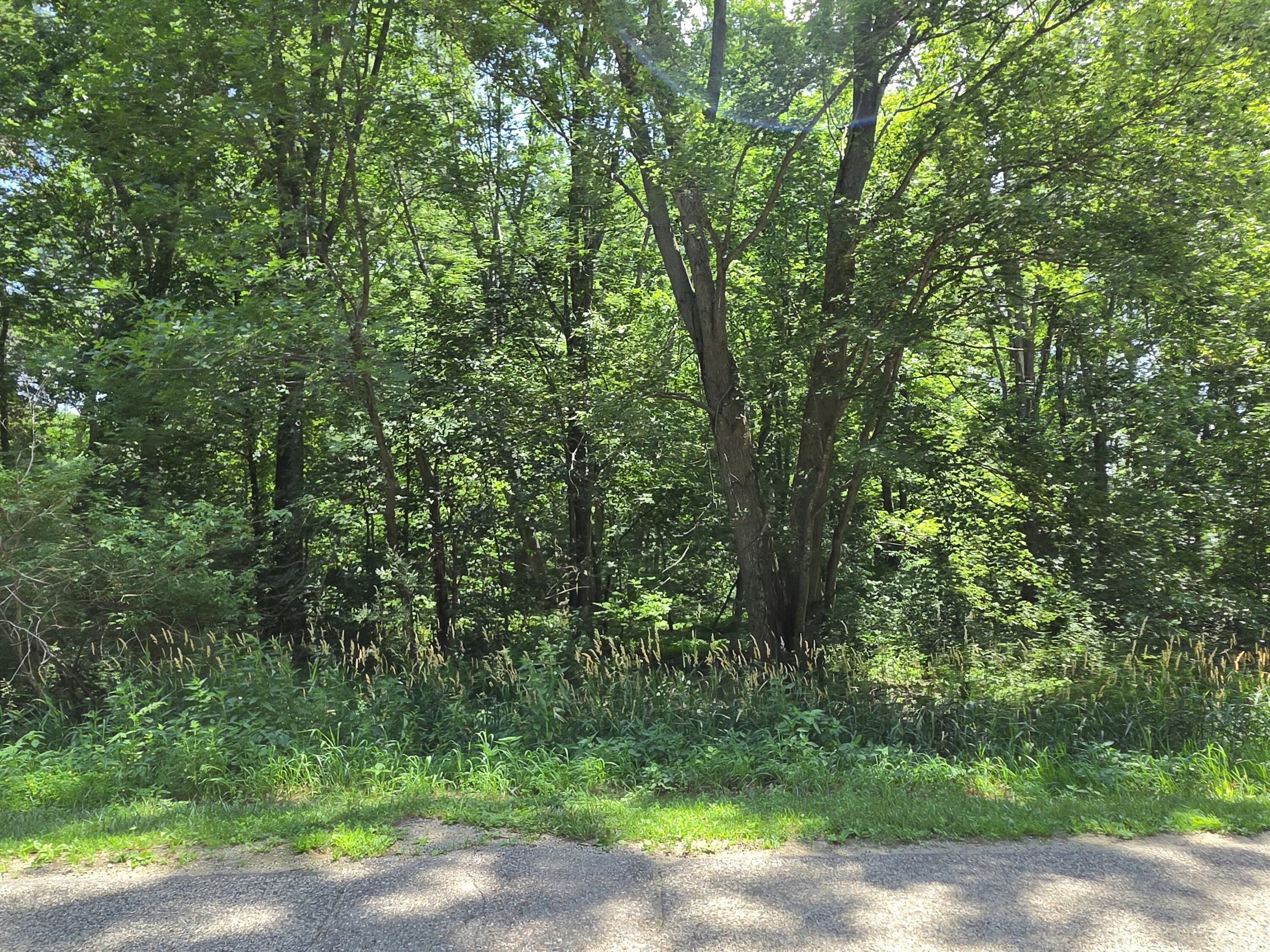 14667 Tripp Road Camden, MI 49232 - Photo 25 of 27 20260702_130601