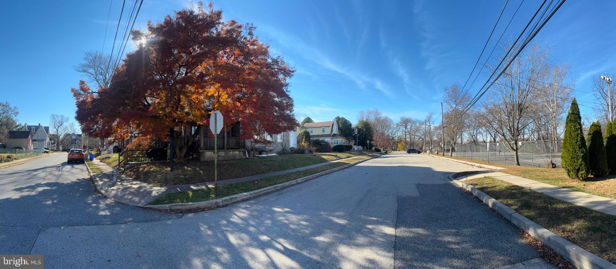 1324 Fletcher Avenue Prospect Park, PA 19076 - Photo 17 of 17 a view of yard with tree s