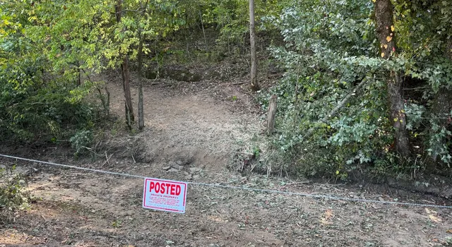 a view of a forest with trees in the background