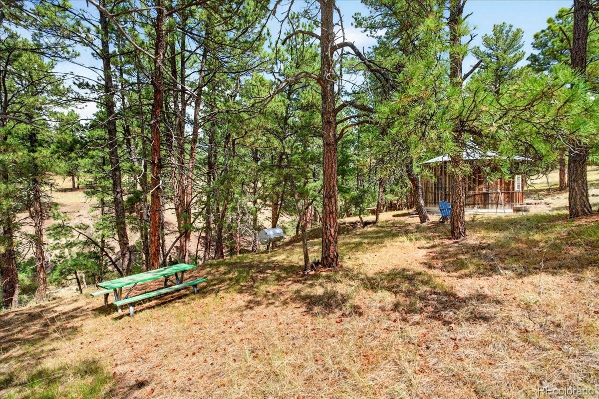 32901 Ridge Road Ramah, CO 80832 - Photo 23 of 50 Gallery Image 23