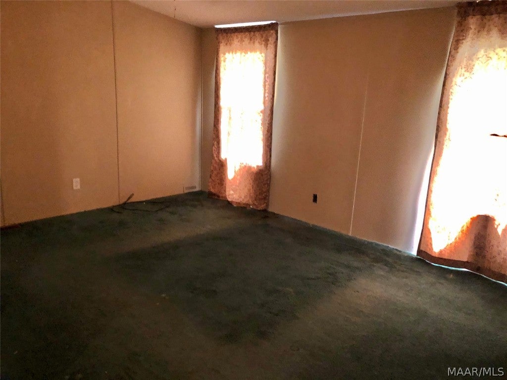 3874 Mitchell Road Hartford, AL 36344 - Photo 16 of 35 Gallery Image 16