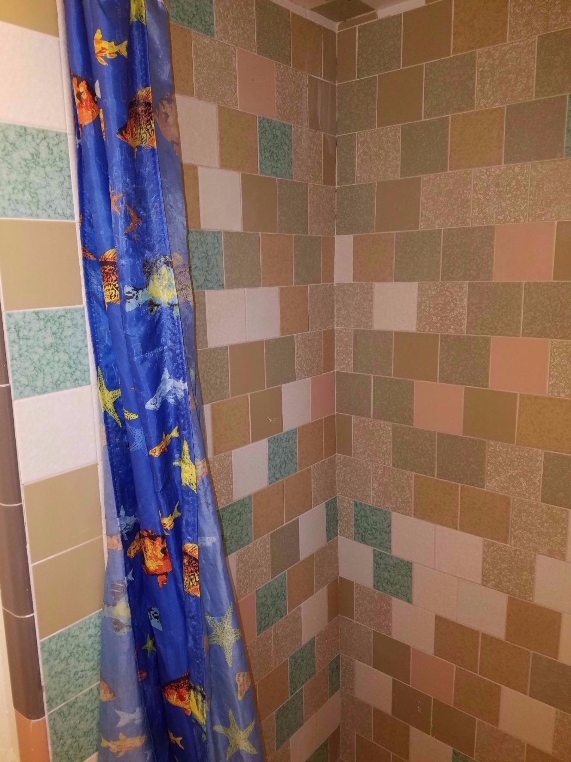 1455 10th Street Reedley, CA 93654 - Photo 8 of 9 a bathroom with a shower
