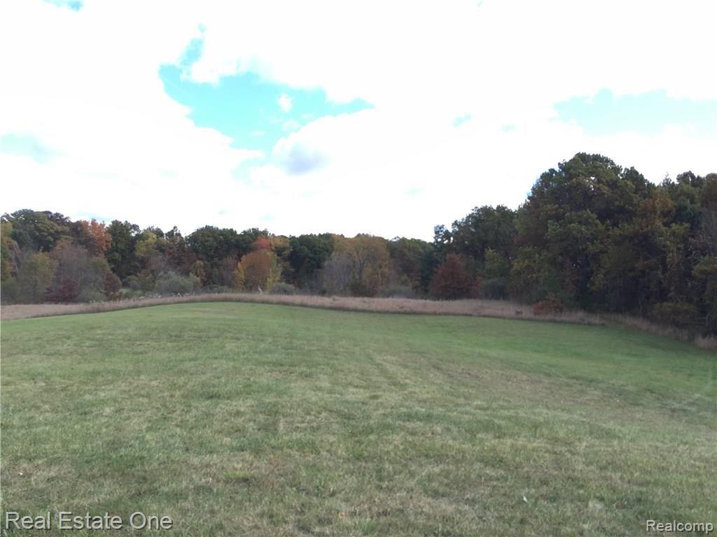 11093 Rattalee Lake Road Davisburg, MI 48350 - Photo 7 of 20