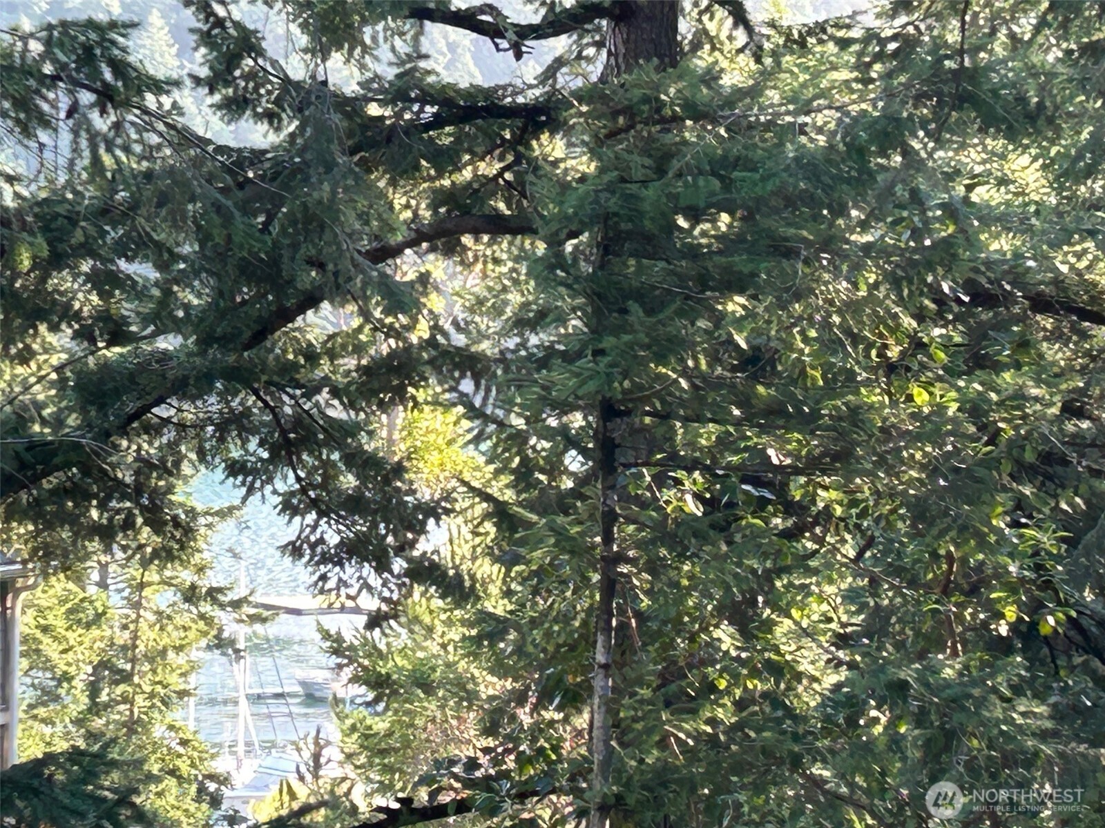 1193 Rosario Road Orcas Island, WA 98245 - Photo 22 of 39