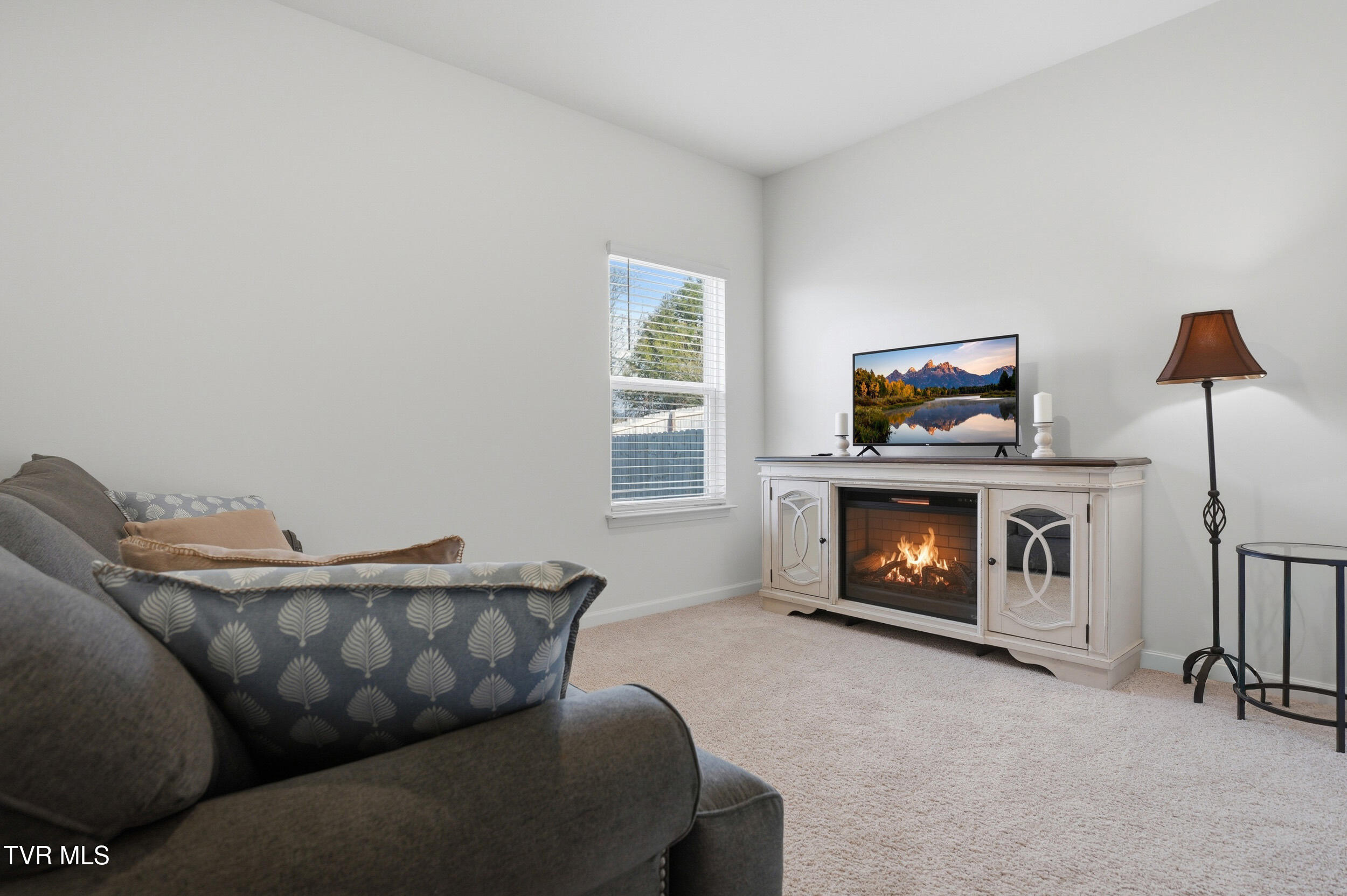 834 Barley Loop Jonesborough, TN 37659 - Photo 17 of 54 36_834 barley lp-46