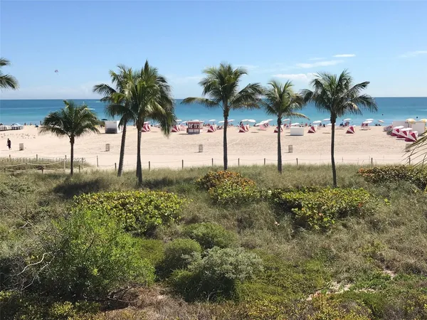 a view of beach and palm tree