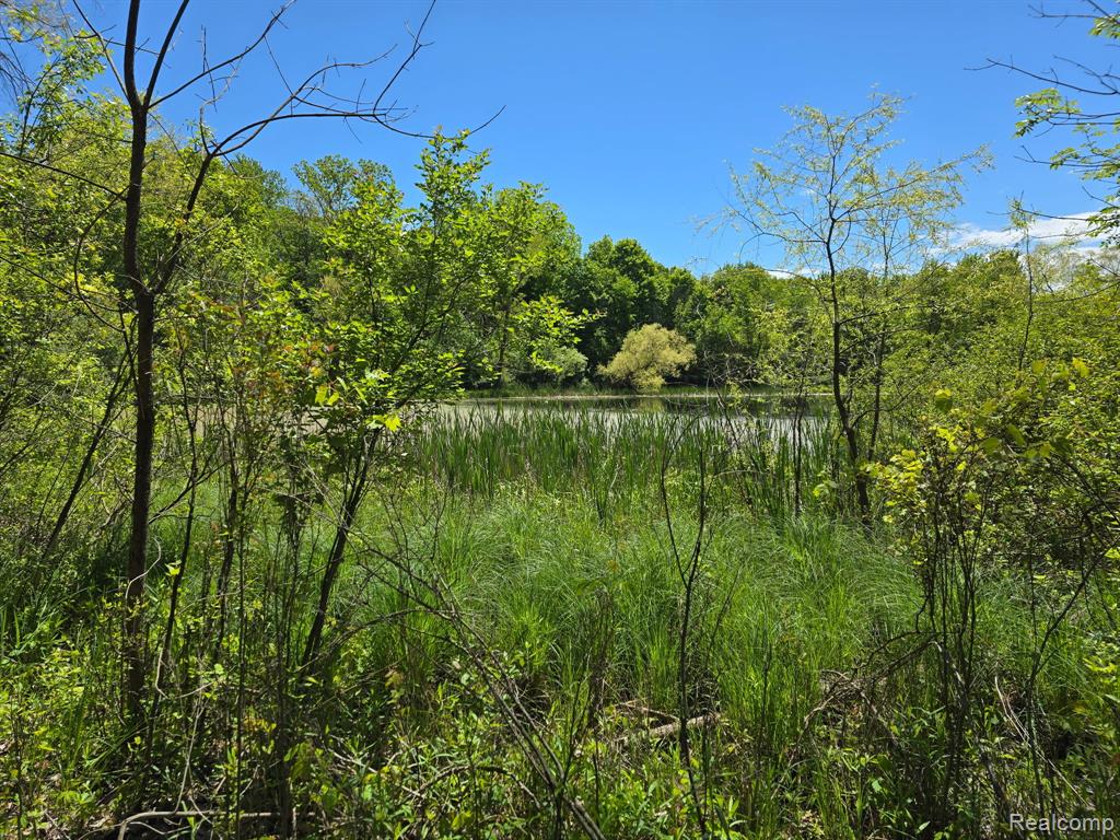3316 Haynes Road Leslie, MI 49251 - Photo 64 of 73 Gallery Image 64