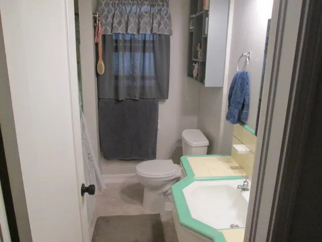 a bathroom with a sink and toilet