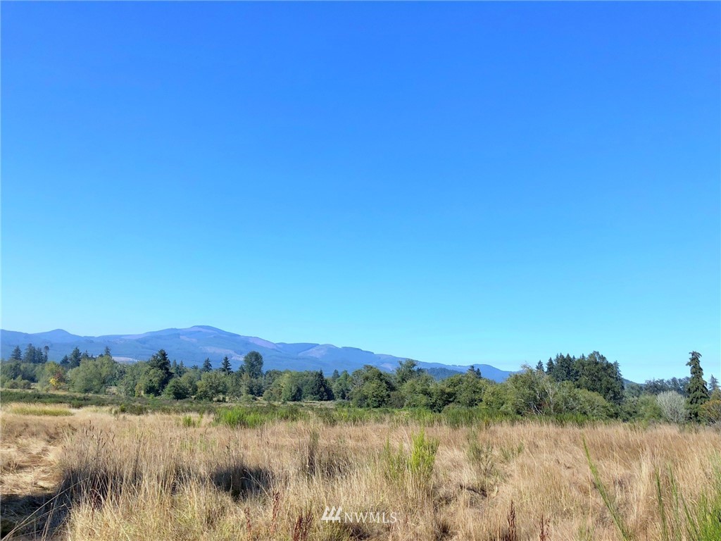 32626 Kahout Road Curtis, WA 98538 - Photo 3 of 10