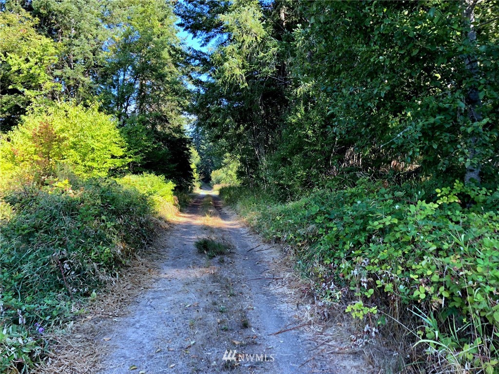 32626 Kahout Road Curtis, WA 98538 - Photo 4 of 10