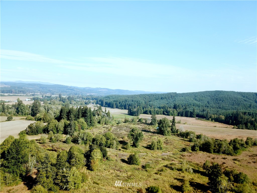 32626 Kahout Road Curtis, WA 98538 - Photo 7 of 10