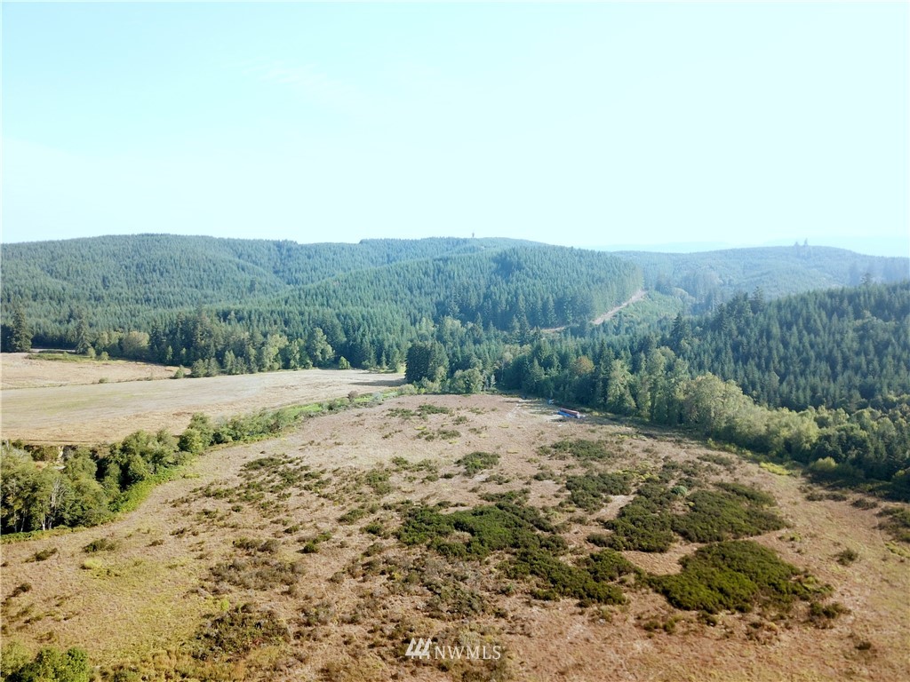 32626 Kahout Road Curtis, WA 98538 - Photo 8 of 10