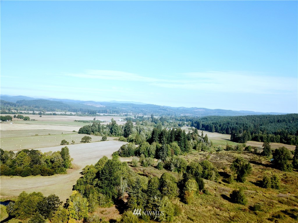 32626 Kahout Road Curtis, WA 98538 - Photo 9 of 10