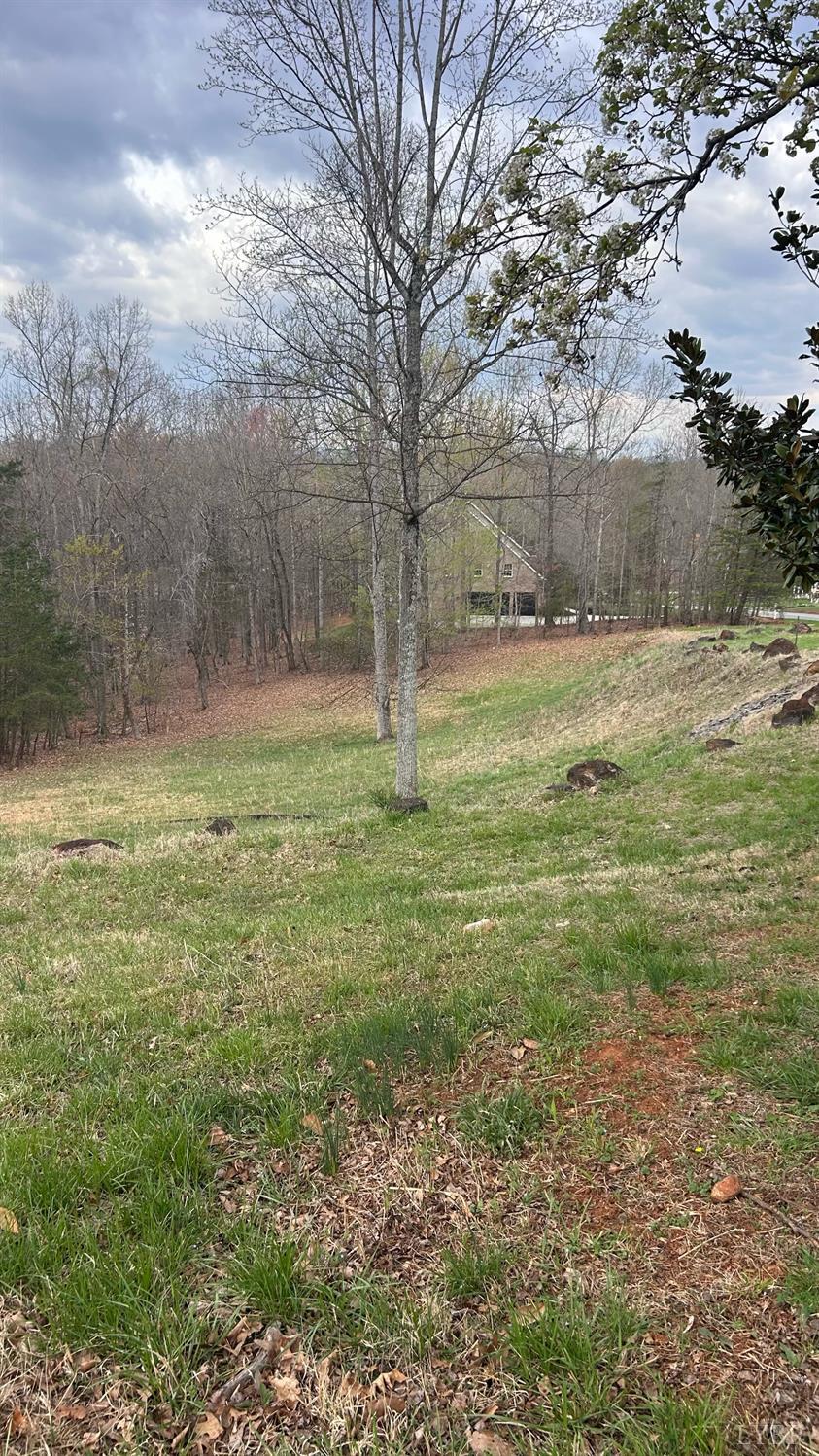 2 Gilfield Forest, VA 24551 - Photo 2 of 2