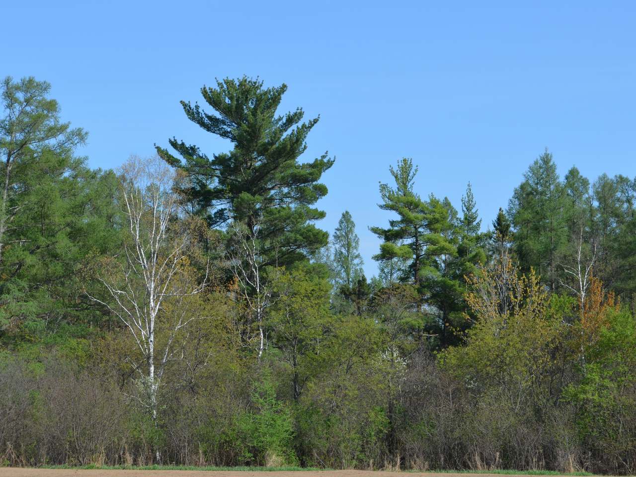 On Kaphaem Road Tomahawk, WI 54487 - Photo 13 of 20 Gallery Image 13