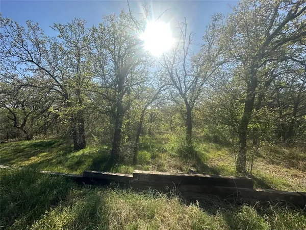 $430,000 | 1550 3 Skillet Road, Springtown, TX 76082