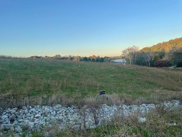 184 Waters Edge Drive Spring City, TN 37381 - Photo 7 of 12 IMG_7335