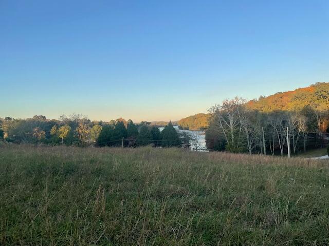 184 Waters Edge Drive Spring City, TN 37381 - Photo 9 of 12 IMG_7340