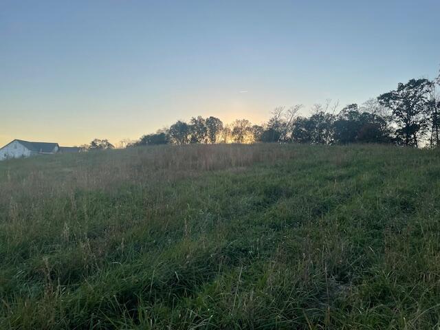 184 Waters Edge Drive Spring City, TN 37381 - Photo 10 of 12 IMG_7342