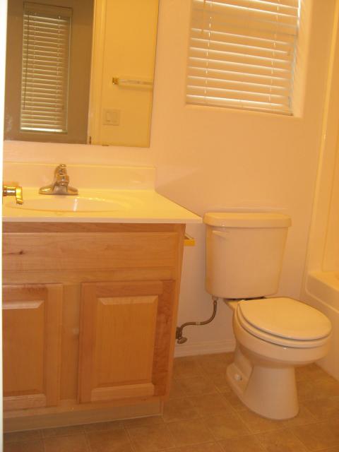 2407 West Carter Road Phoenix, AZ 85041 - Photo 13 of 47 bathroom #2