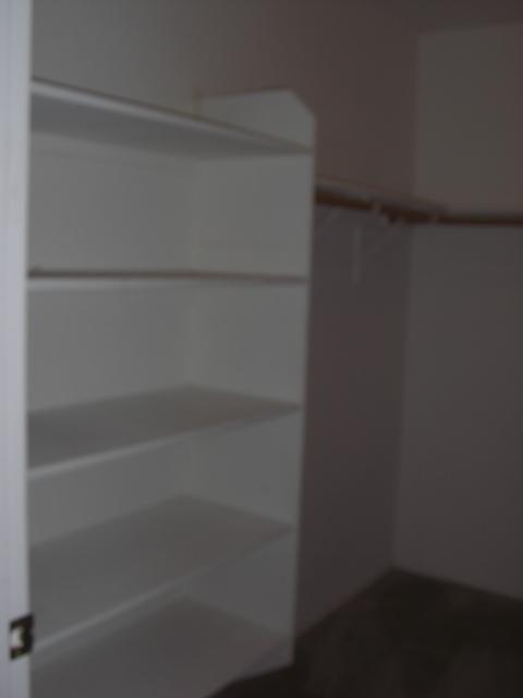 2407 West Carter Road Phoenix, AZ 85041 - Photo 34 of 47 master bedroom closet - #2