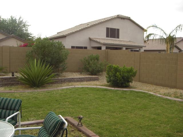 2407 West Carter Road Phoenix, AZ 85041 - Photo 36 of 47 backyard - #1