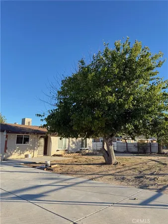 a view of a trees in the middle of a yard