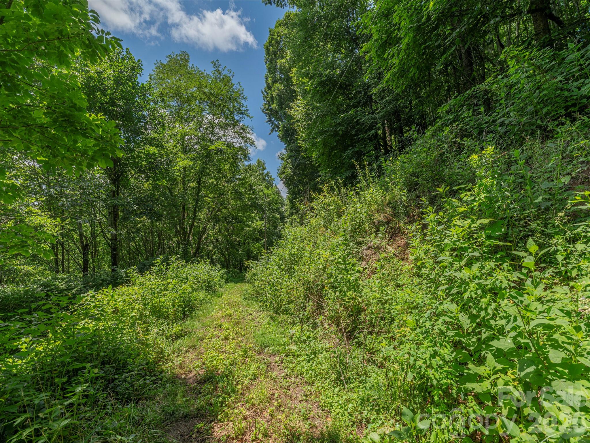 0 Rough Knob Road Hot Springs, NC 28743 - Photo 3 of 6 Gallery Image 3