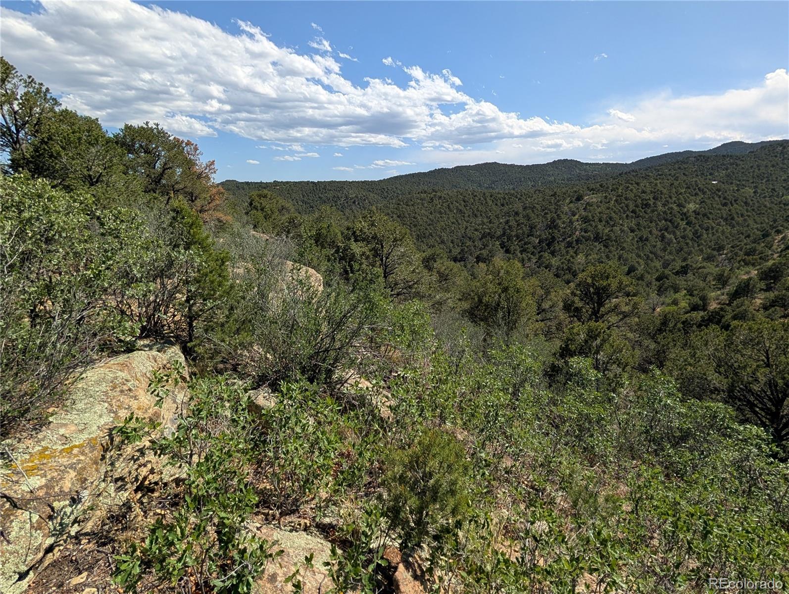 Fishers Peak Ranch Trinidad, CO 81082 - Photo 17 of 34