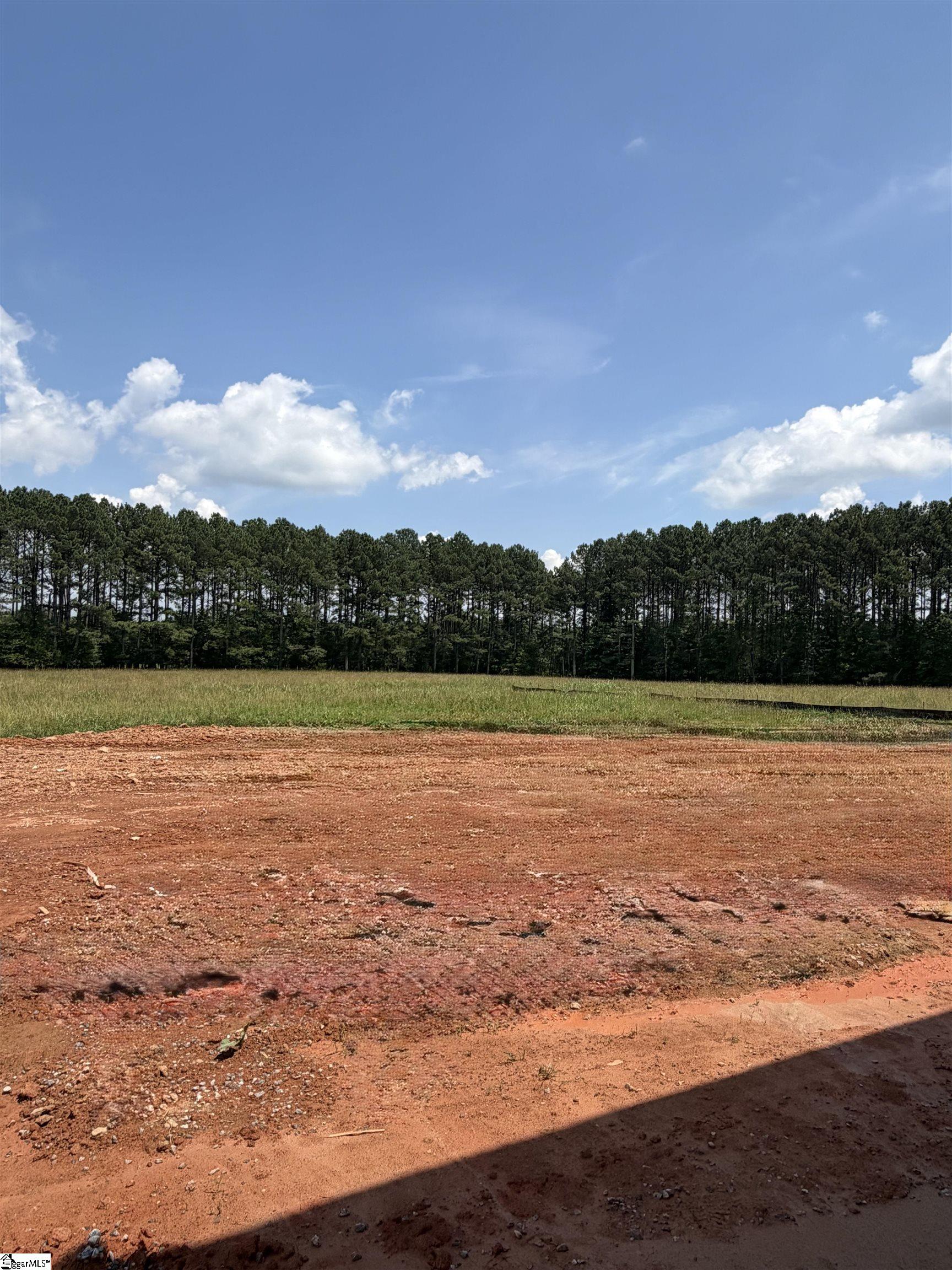 310 Richey Road, Unit SITE 3 Pelzer, SC 29669 - Photo 15 of 31