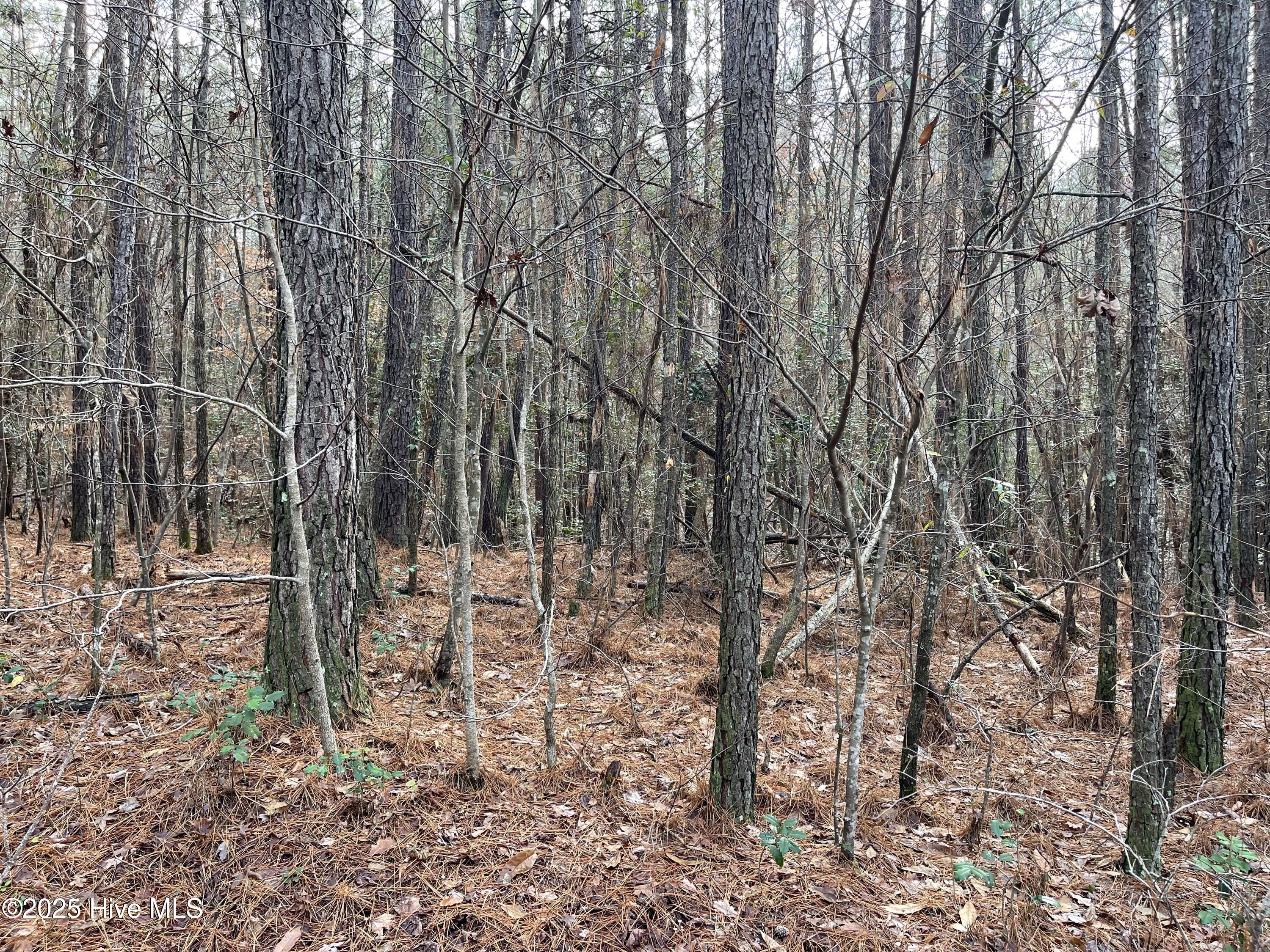 0 North State Lane Rockingham, NC 28379 - Photo 13 of 34 N State Ln