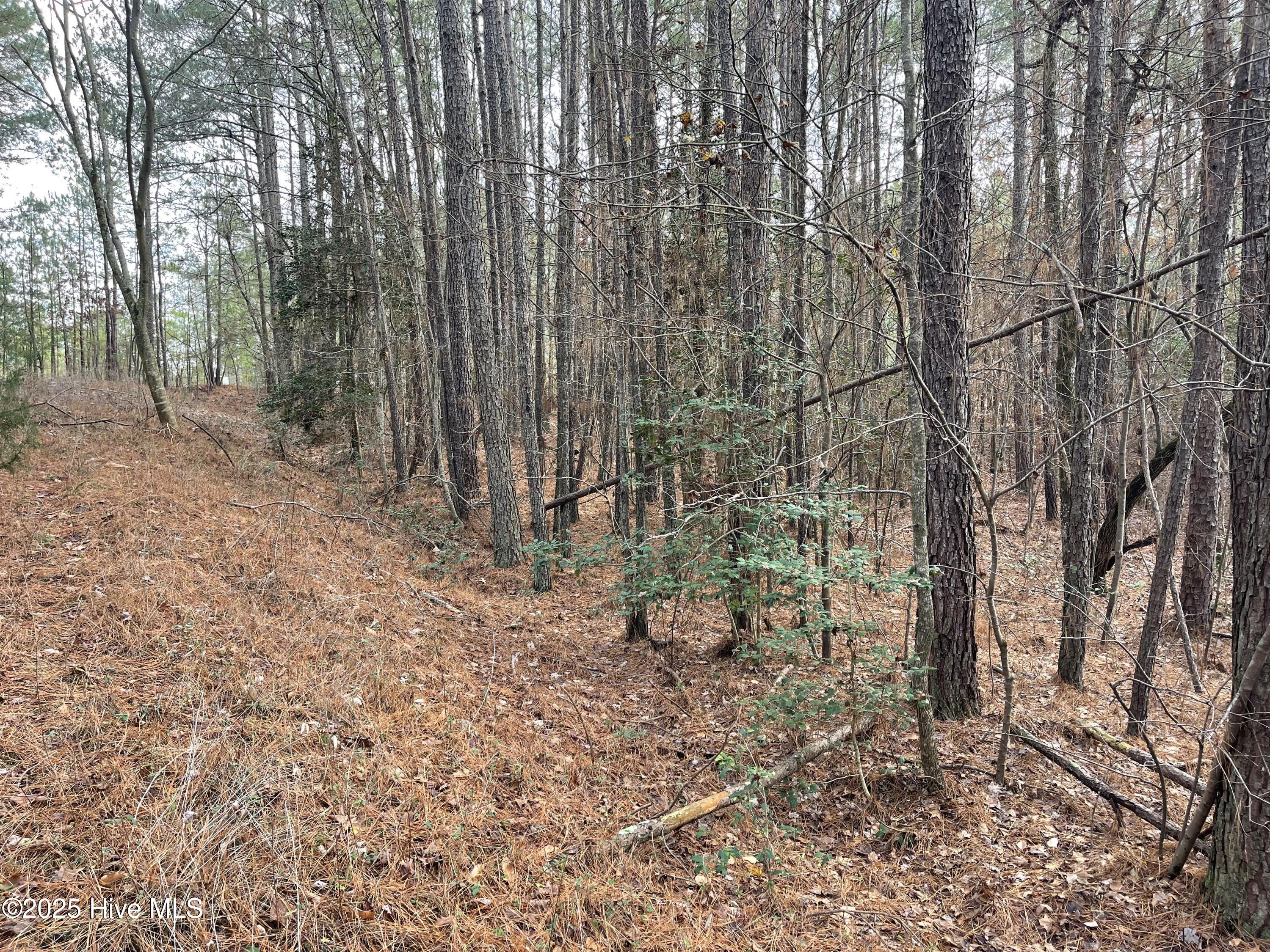 0 North State Lane Rockingham, NC 28379 - Photo 14 of 34 N State Ln