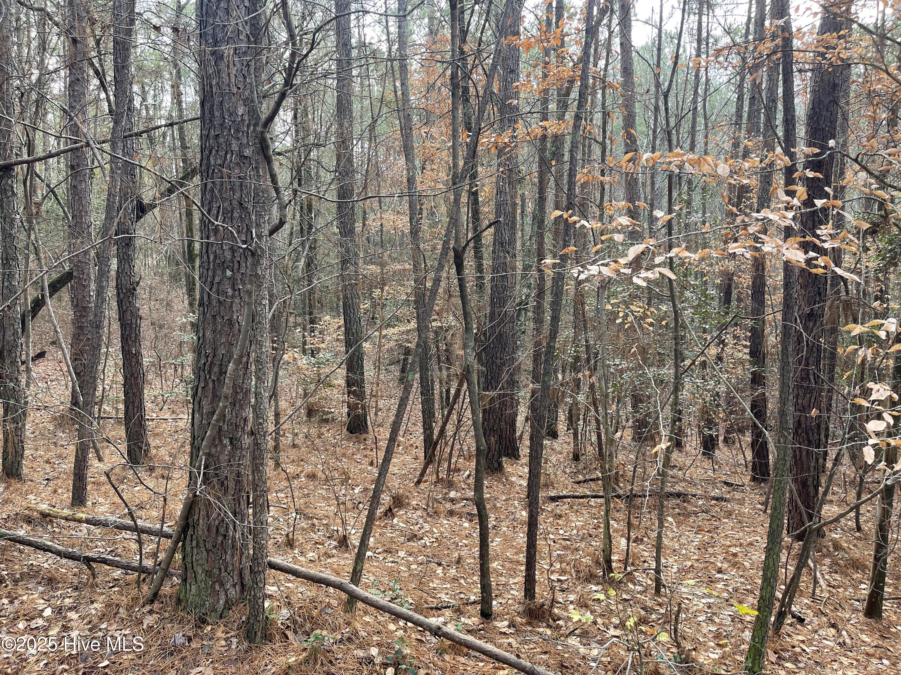 0 North State Lane Rockingham, NC 28379 - Photo 15 of 34 N State Ln