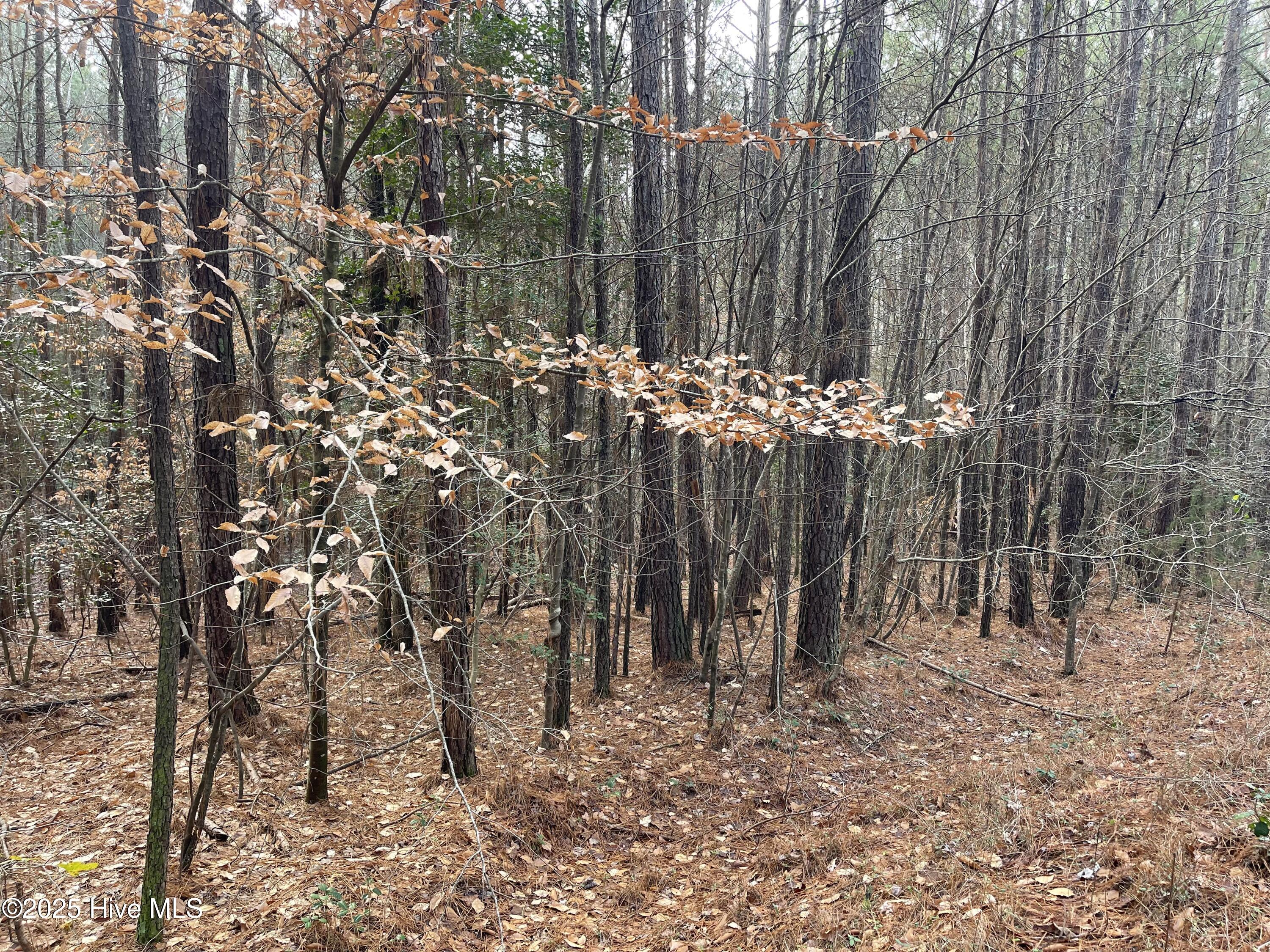 0 North State Lane Rockingham, NC 28379 - Photo 16 of 34 N State Ln